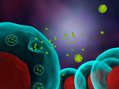 cell releasing exosomes in the human body