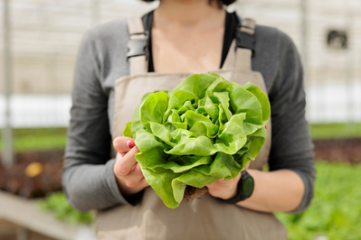 leafy greens